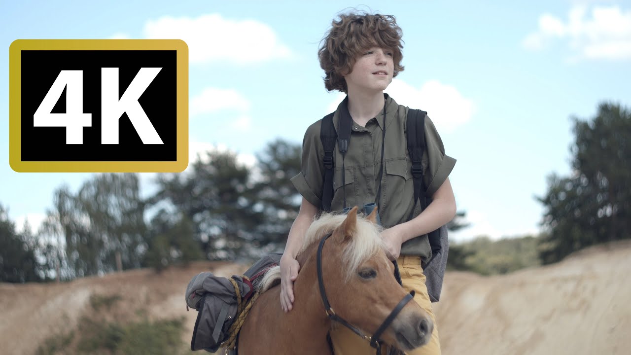 Horse Riding Free  Footage ( Part 4) | 4K | Footage - Copyright Free