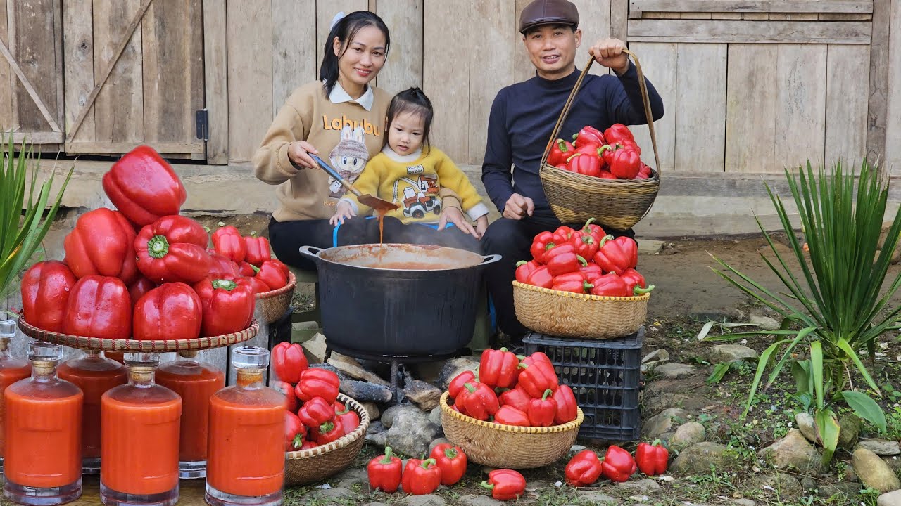 Village Red Chili Cooking Process - Homemade Spicy Sauce | Ly Phuc An