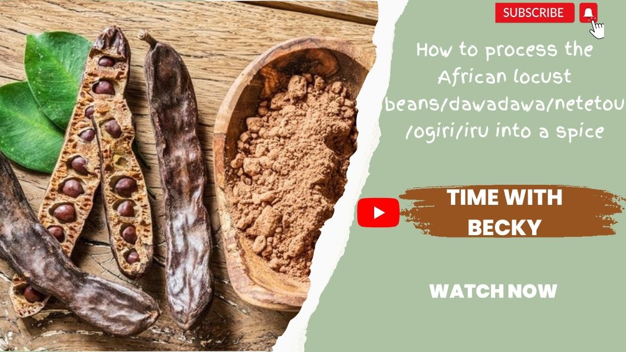 How to process the African locust beans/dawadawa/netetou/ogiri/iru into a spice.