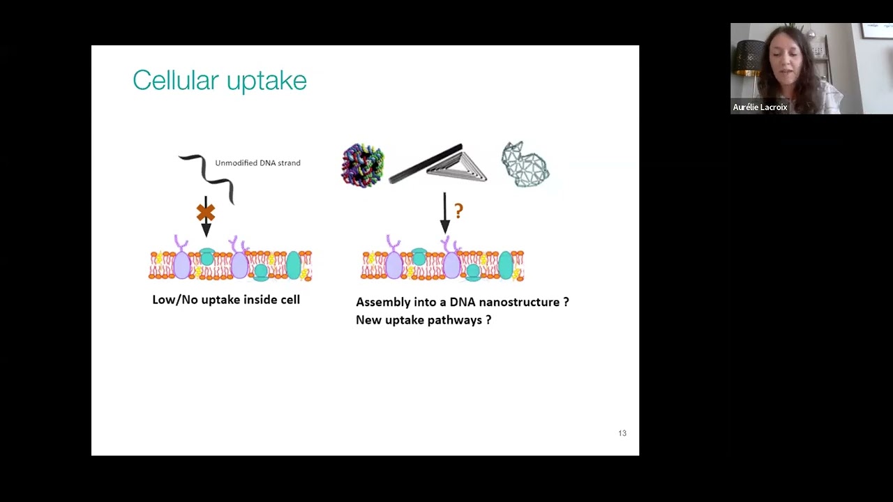 Chemical and Nanotechnology based Approaches to Build Next gen Oligonucleotide Therapeutics