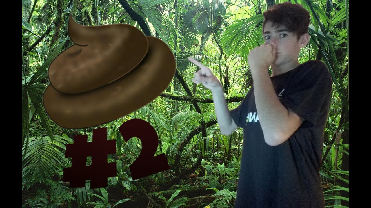 Pulizia Terrario (15 video)