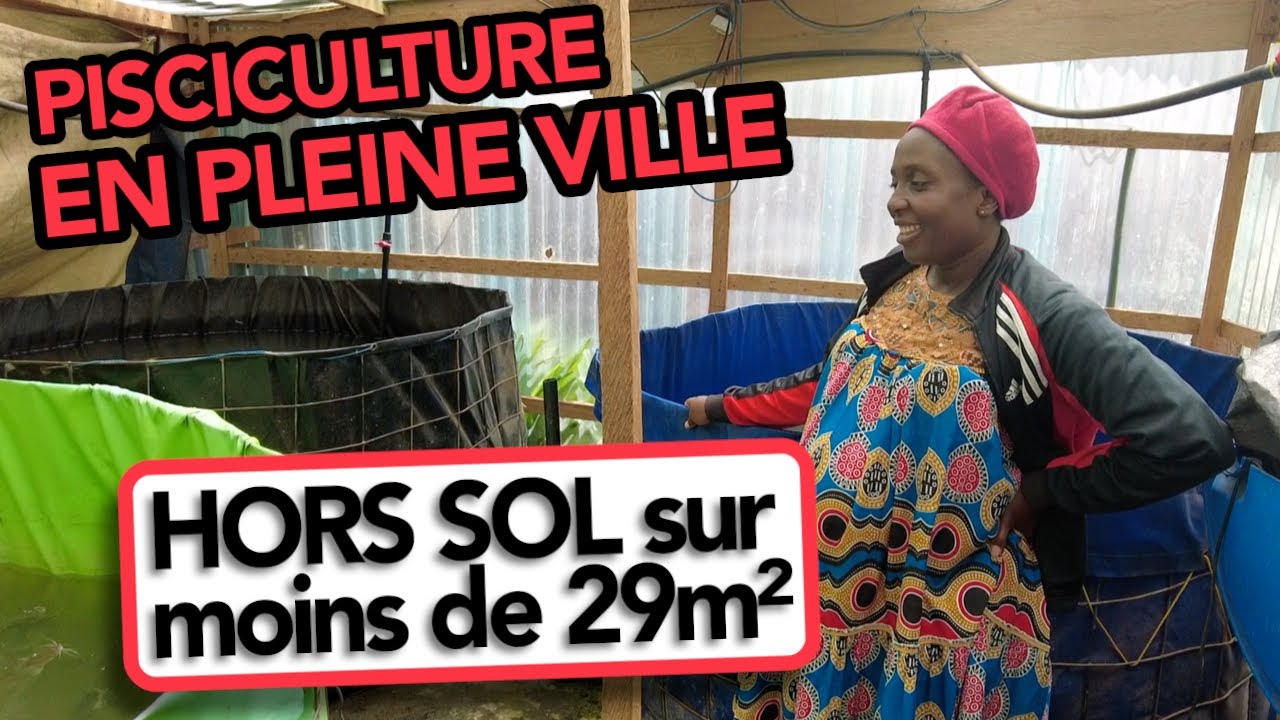 VLOG#2 Élevage de poisson chat hors sol. Pisciculture en pleine ville