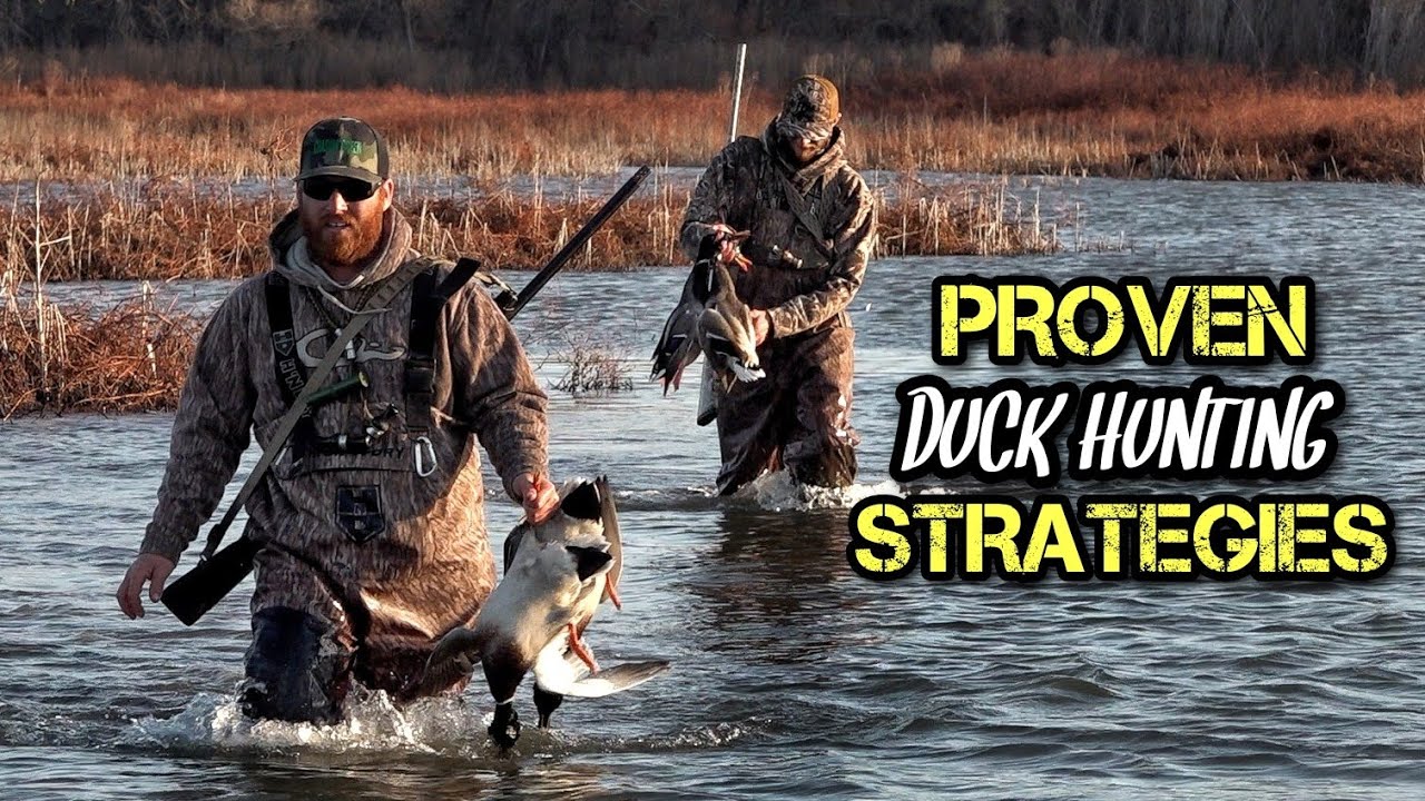 8 Tips for New Duck Hunters (That Actually Work)