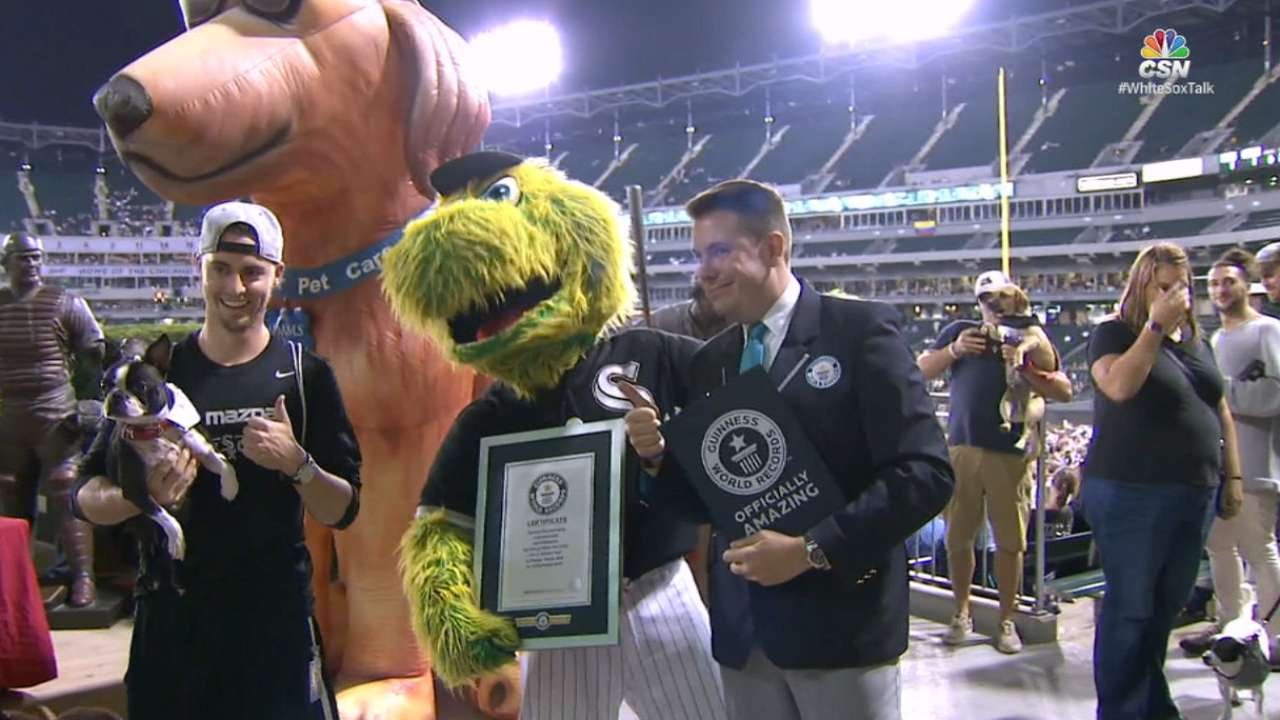 Dogs set world record at U.S. Cellular Field