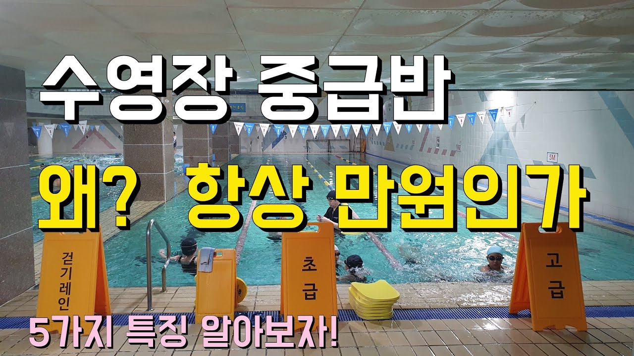 수영장 중급반 특징! 5가지 알아보자!!