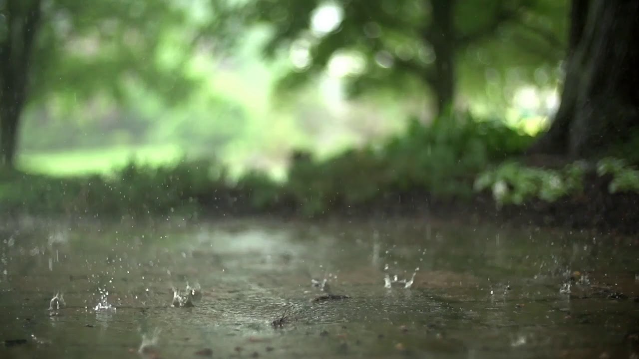 Celal Ehmedov - Hezin Piano Musiqi / 2020 ( G&uuml;l&uuml;mcan )