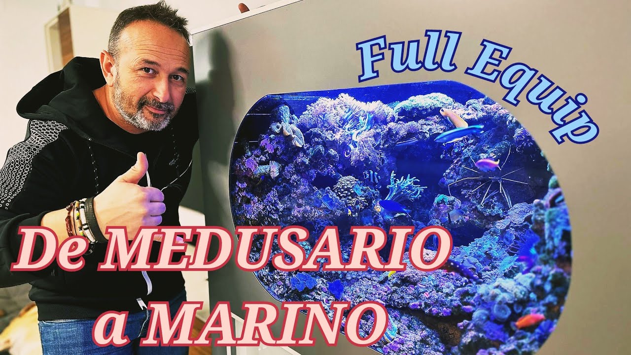 DE MEDUSARIO A MARINO | Acuario Full Equip