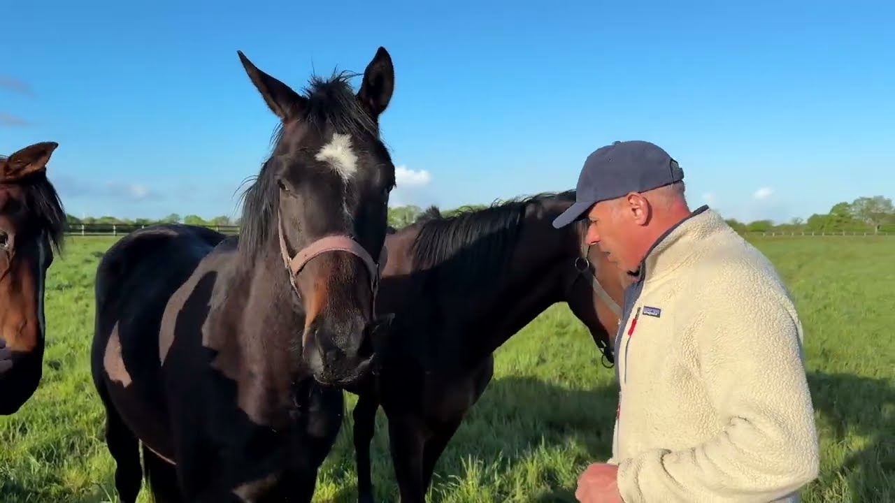 Show Lumet - ARQANA 2025 : 
