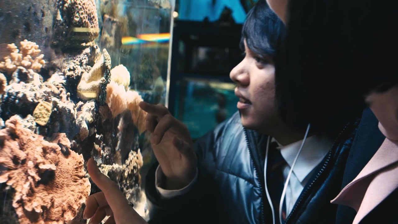 Milk & Bone - Coconut Water (Official Music Video)