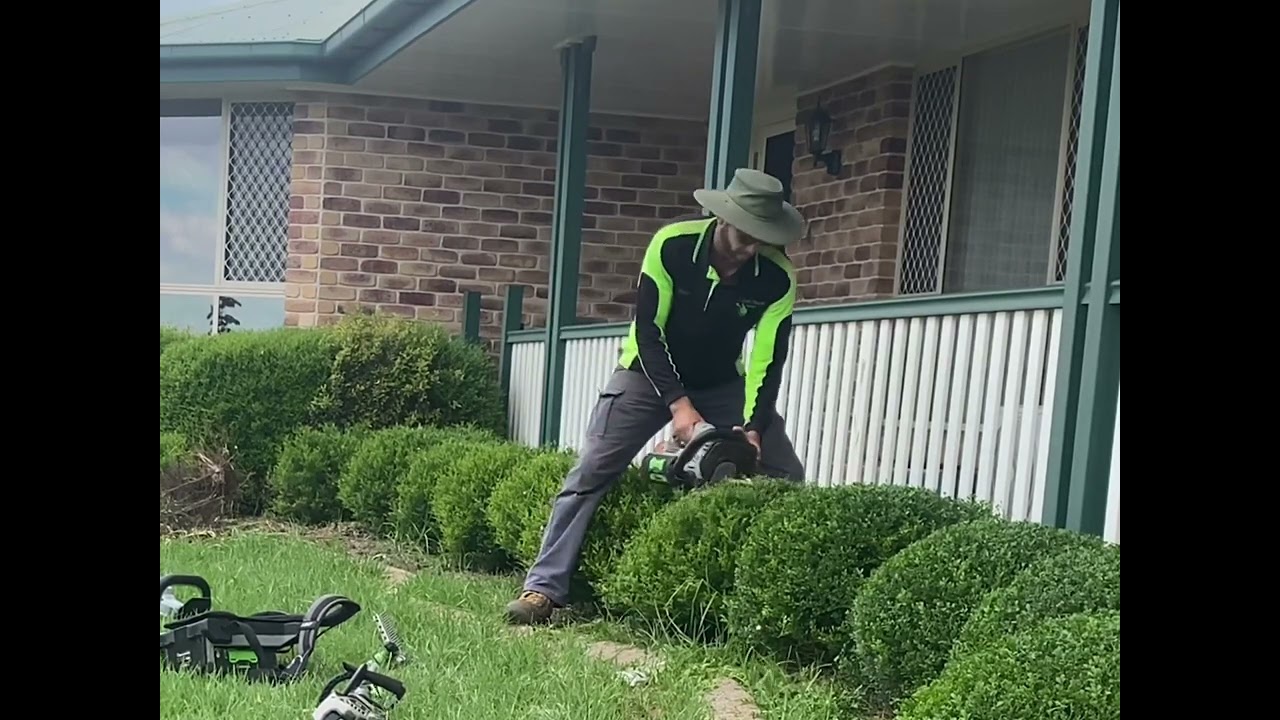 EGO multi tool with hedge trimmer attachment vs hand held. Why I love the multi tool.