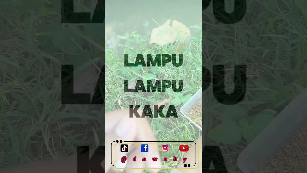 #youtube