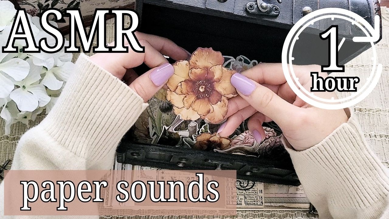 ASMR 1 Hour Journal Compilation ✨ Relaxing Paper Sounds for Sleep