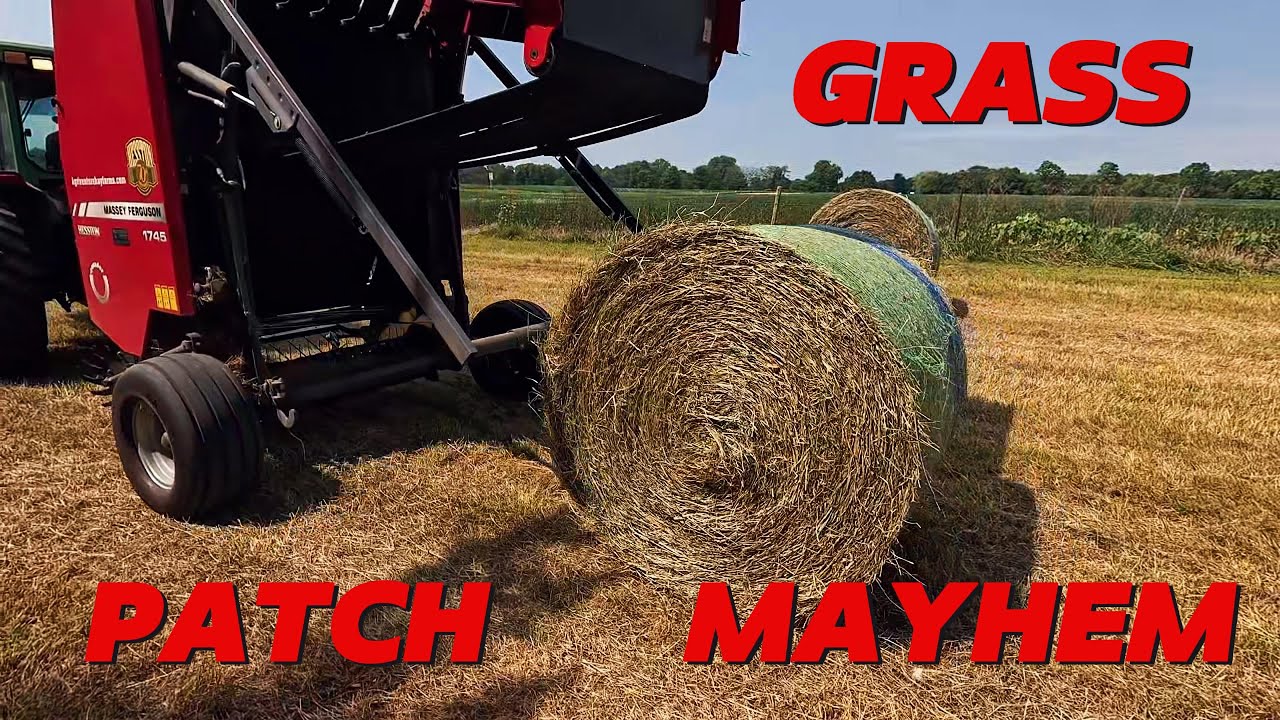 Grass Patch Troubles