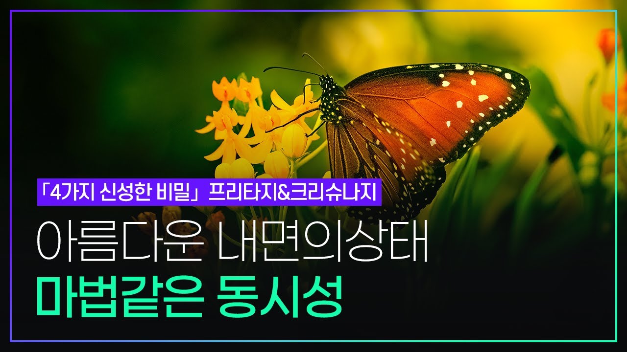 프리타지&크리슈나지 4가지 신성한 비밀_아름다운 내면의 상태가 불러오는 마법같은 동시성