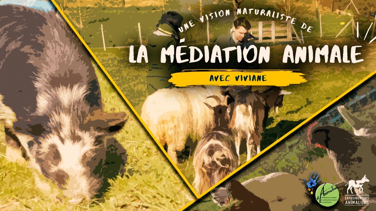Une vision naturaliste de la médiation animale avec Viviane