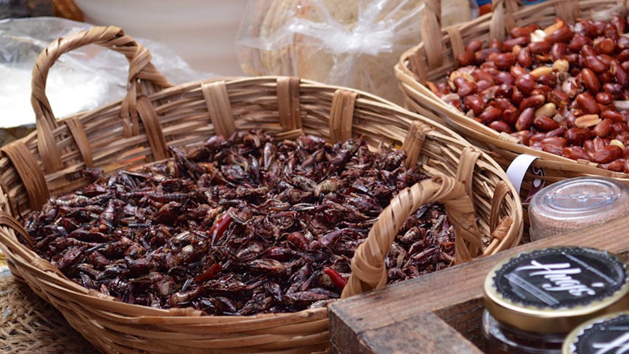 Eating Fried Grasshoppers...