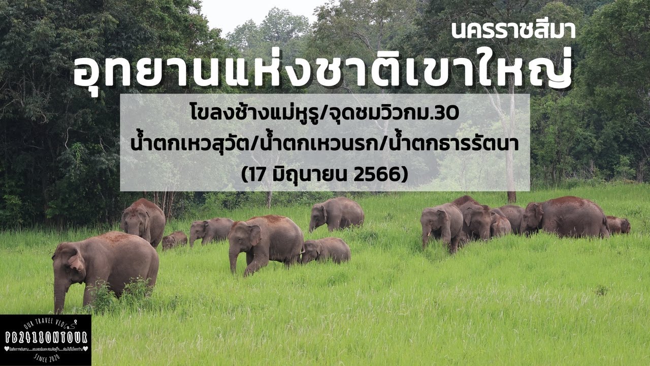 EP.115 อุทยานแห่งชาติเขาใหญ่ (โขลงช้างแม่หูรู,น้ำตก,จุดชมวิว) จังหวัดนครราชสีมา