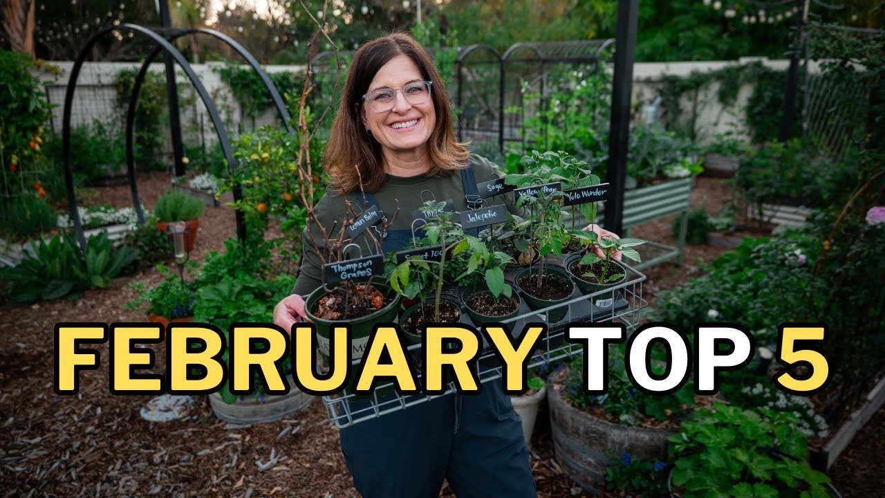 CROPS & TASKS: What to PLANT & DO in FEBRUARY (Mild Winter Climates)