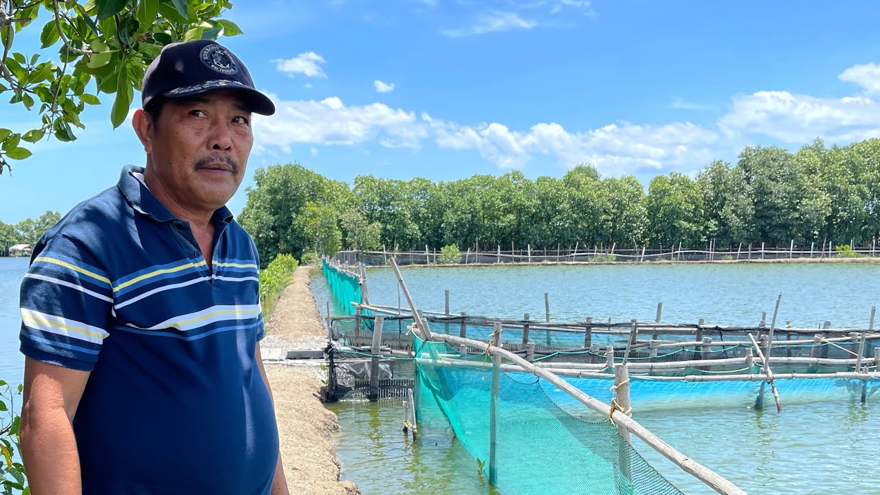 MGA SEKRETO pano KUMITA ng MALAKI sa BANGUS CULTURE (Pond prep, stocking to harvest)