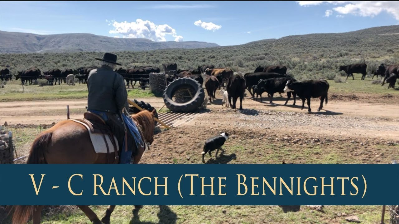 V Bar C Ranch (The Bennights)