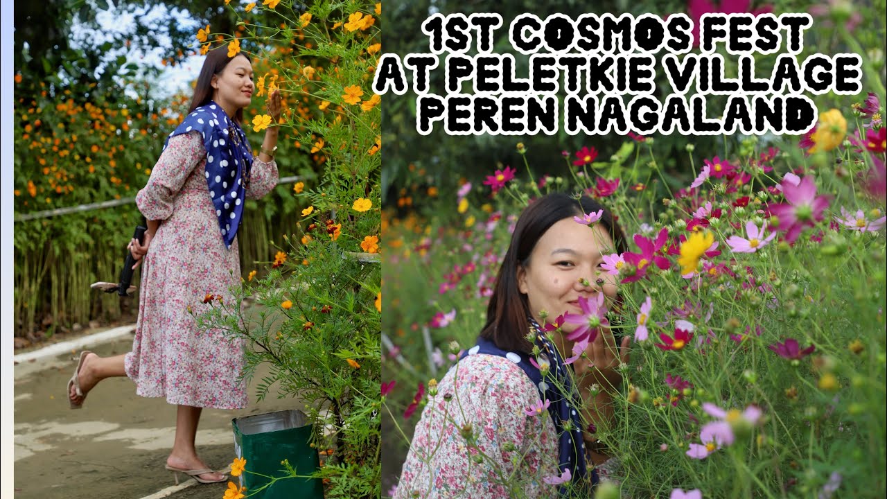 1st Cosmos Fest||Peletkie Village🌸