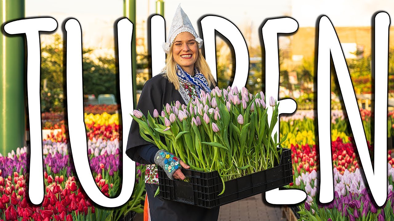 FRÜHLINGSDEKO + TIPPS & TRICKS MIT TULPEN - DIY