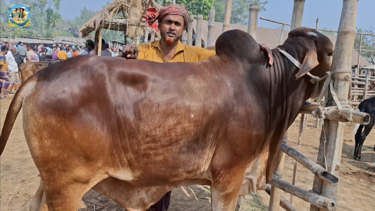 @ সোমবার ২ মার্চ