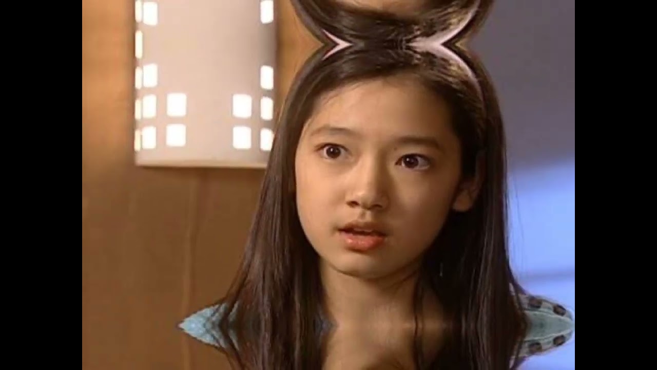 Park Shin Hye beginning of career