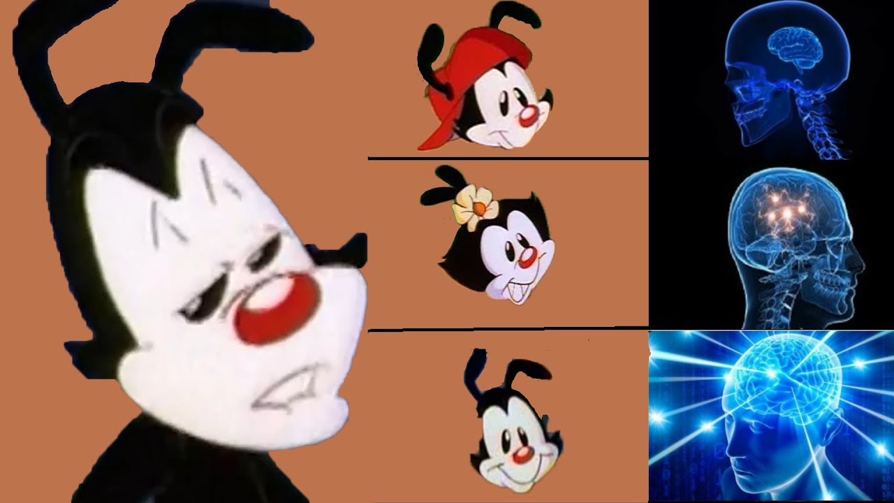 Animaniacs (original) - Yakko Warner being a know it all for 5:27 (compilation)