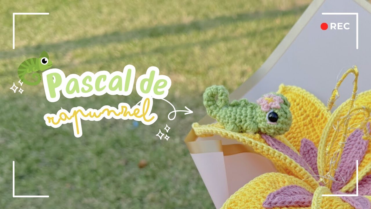 #Amigurumi de Pascal de Rapunzel a Crochet 🦎 | Explicado para Principiantes Paso a Paso -✨Merry