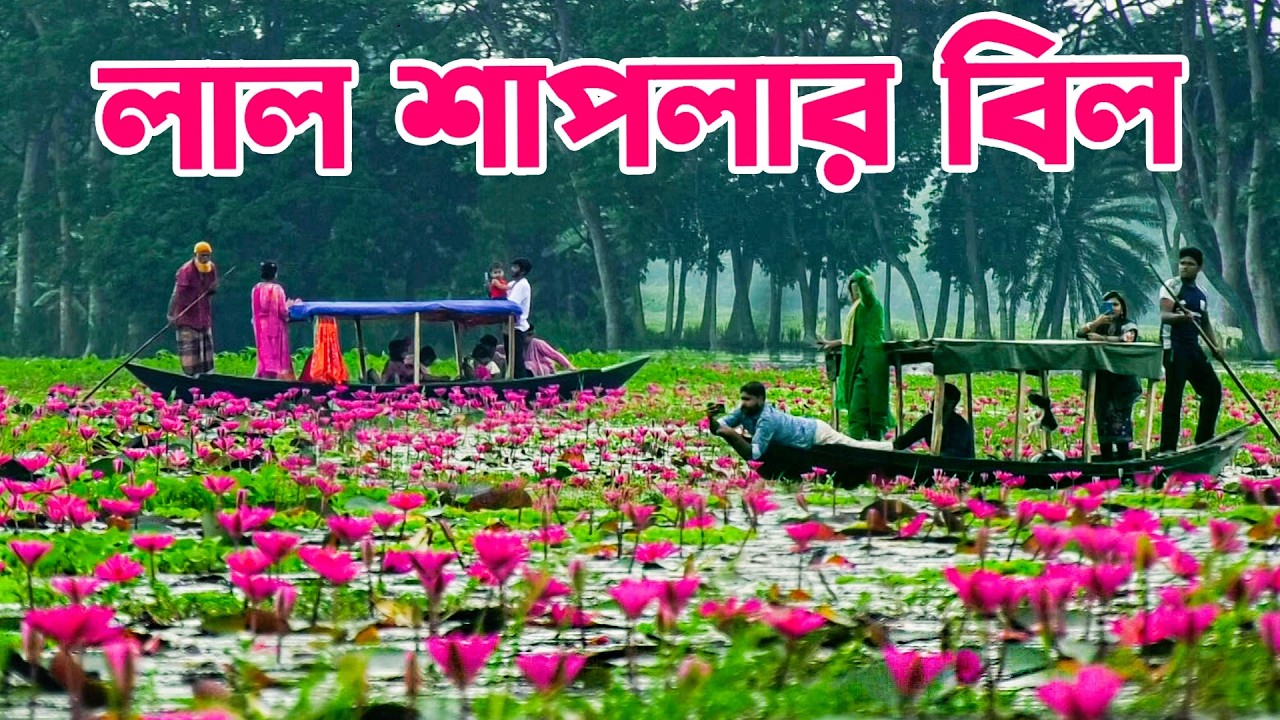 বরিশালের সাতলা গ্রামের সাতলা বিল || Panorama Documentary