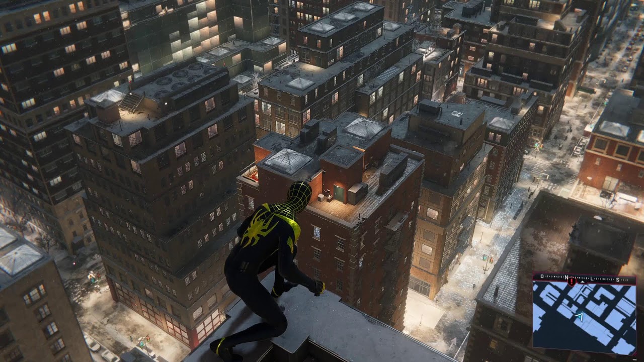 spider