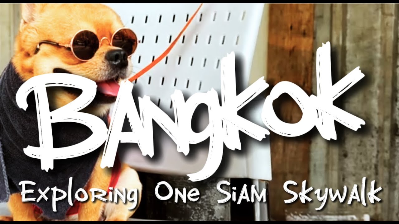 How to get to and explore Bangkok's Siam Skywalk.