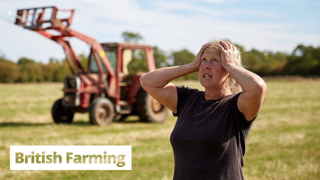 British Farming | What's the Point?
