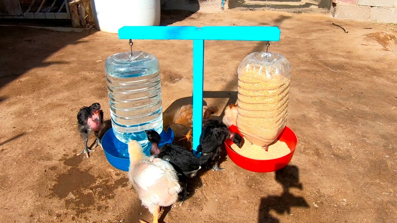 El mejor Comedero y Bebedero automático para Pollos 🐥 (hecho con materiales reciclados ♻️)