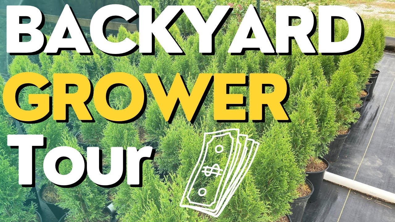 Backyard Nursery Grower Tour-EARLY SPRING Profitable Plants- Starting a nursery 