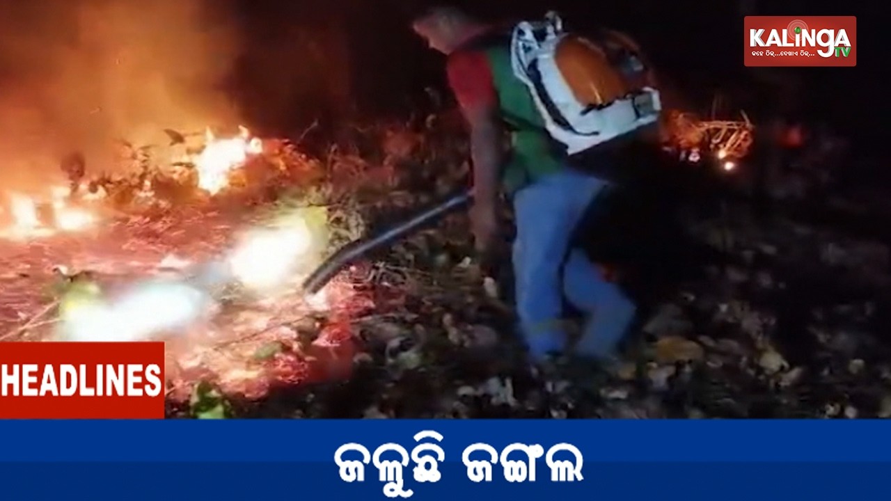 10 AM Headlines || March 11, 2026