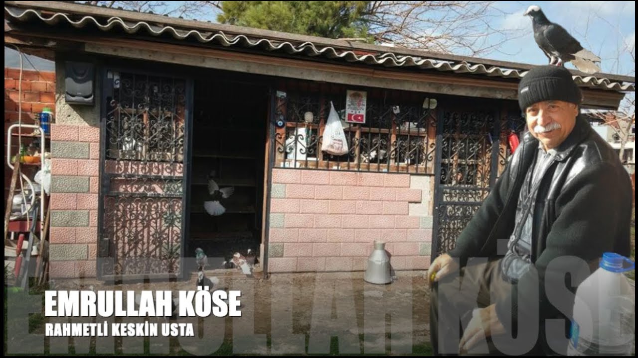 Dönek Güvercin Sohbeti Emrullah Köse (Keskin)