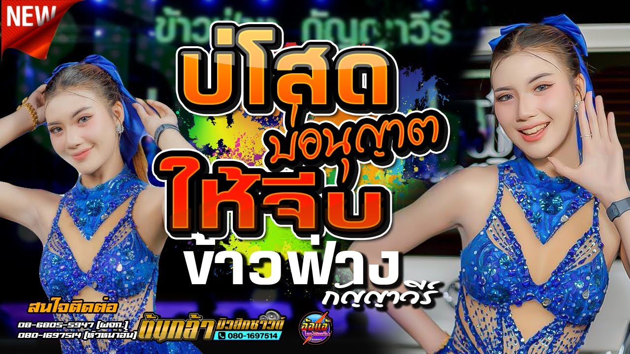 #ใหม่ล่าสุด,บ่โสดบ่อนุญาตให้จีบ - ข้าวฟ่าง กัญญาวีร์,ดอกฟ้าการดนตรี,ต้นกล้ามิวสิคชาวด์