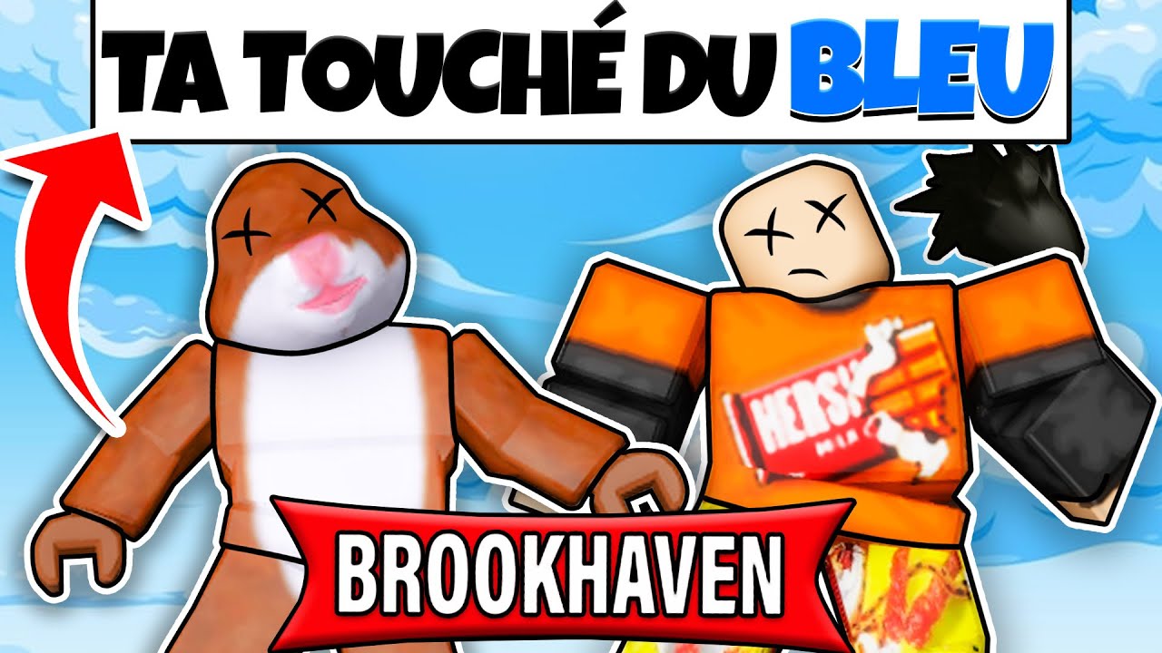 Brookhaven Cache-Cache Mais SANS TOUCHER LA COULEUR BLEU ! (Roblox)