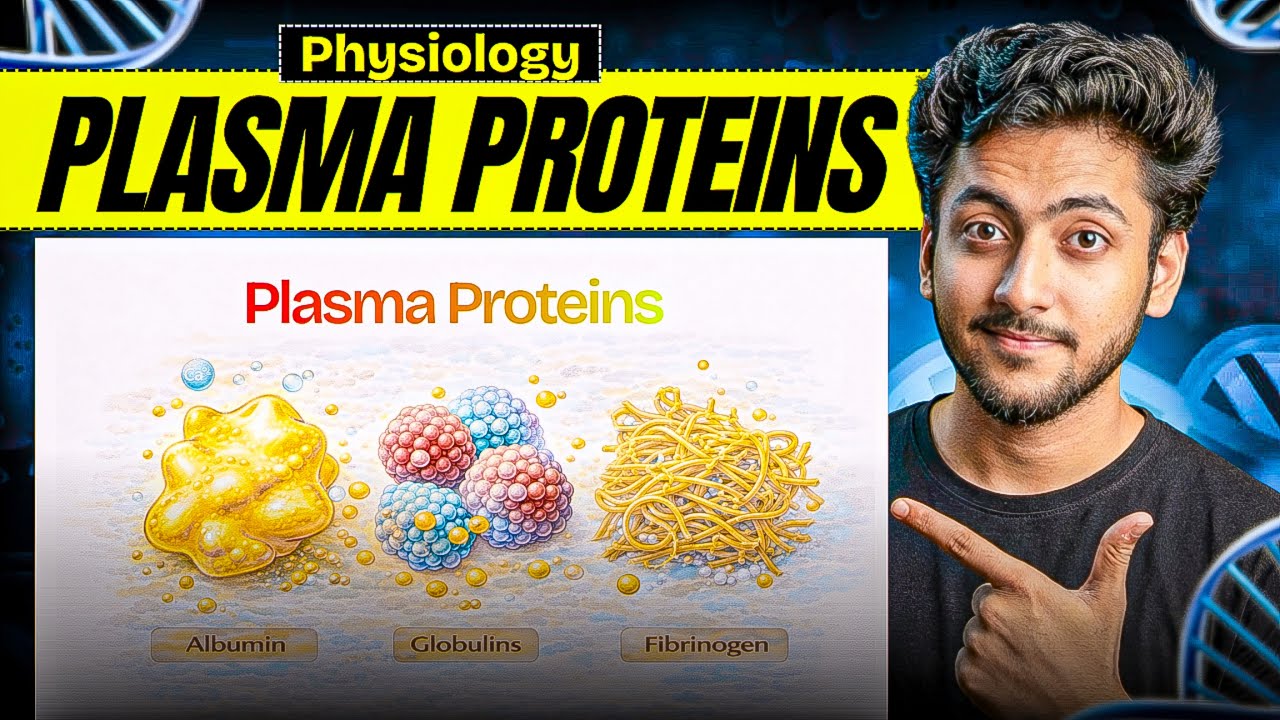 Physiology - Plasma Proteins | MBBS 1st Year |  Full Explanation with Exam Notes | MBBS World