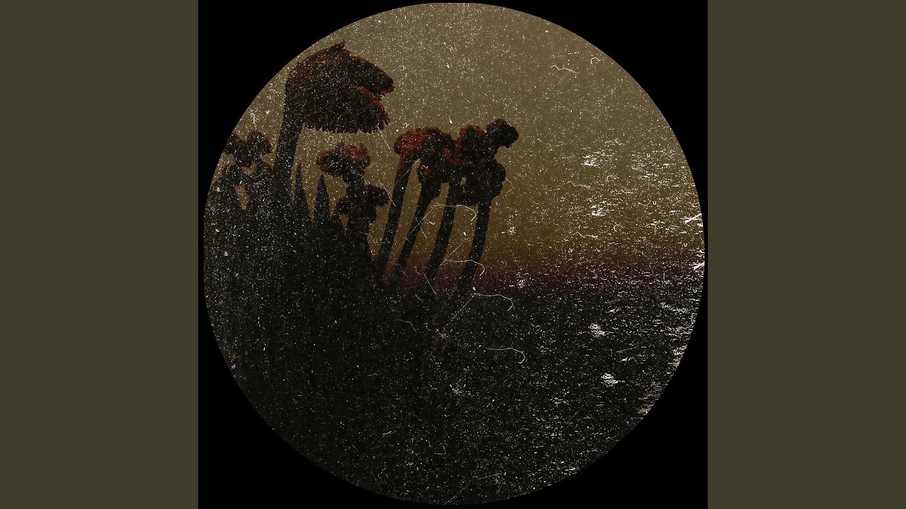 Tabula Rasa