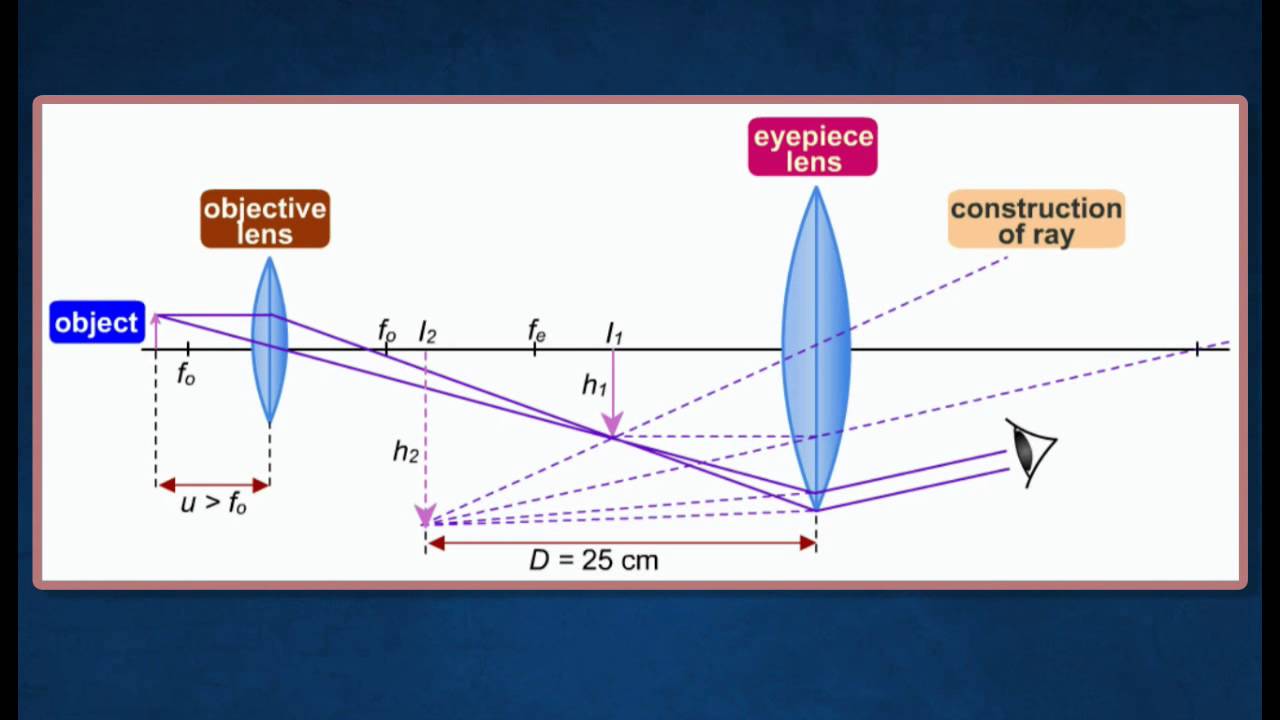 [5.4] Formation of images in compund microscope