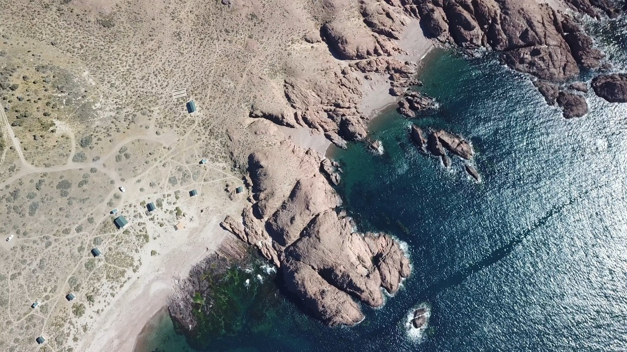 Isla Leones Camps, Parque Patagonia Azul, Argentina from above @rewildingargentina