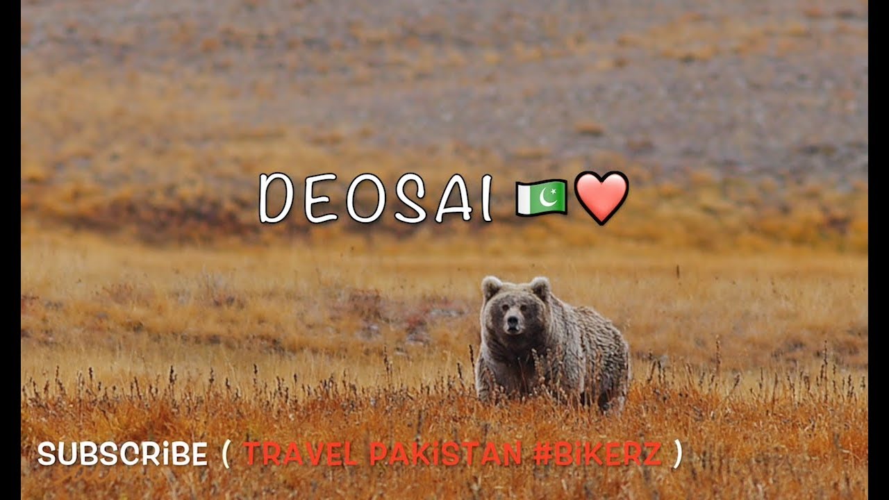 Deosai World's Highest Plains, Deosai Plains , Deosai Top , Sheosar Lake , Gilgit Baltistan