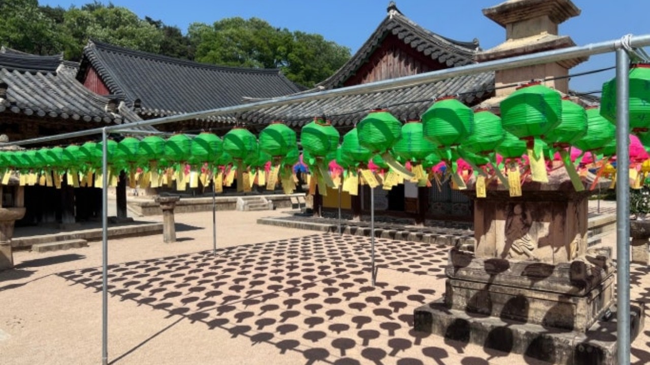 소띠라면 꼭 보세요! 2026년 소띠 운세 충격적 변화