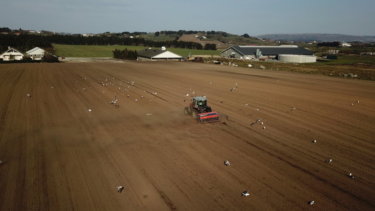 Farming in Norway | Spring Tillage 2019