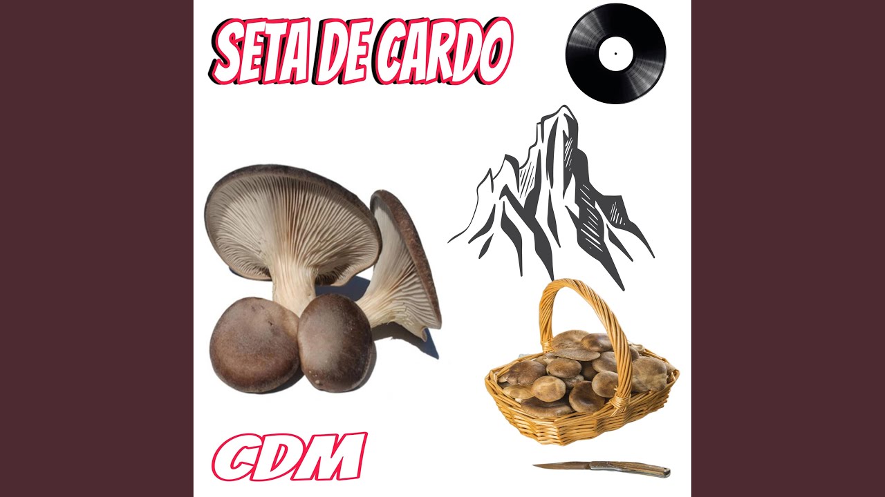 Seta de cardo (feat. Jorge aguirre)