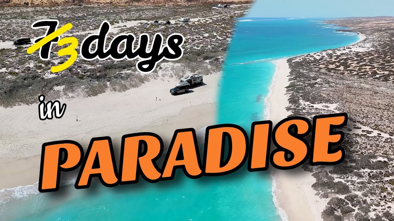 Было так плохо, что нам пришлось уйти! 14 MILE BEACH, 32 серия