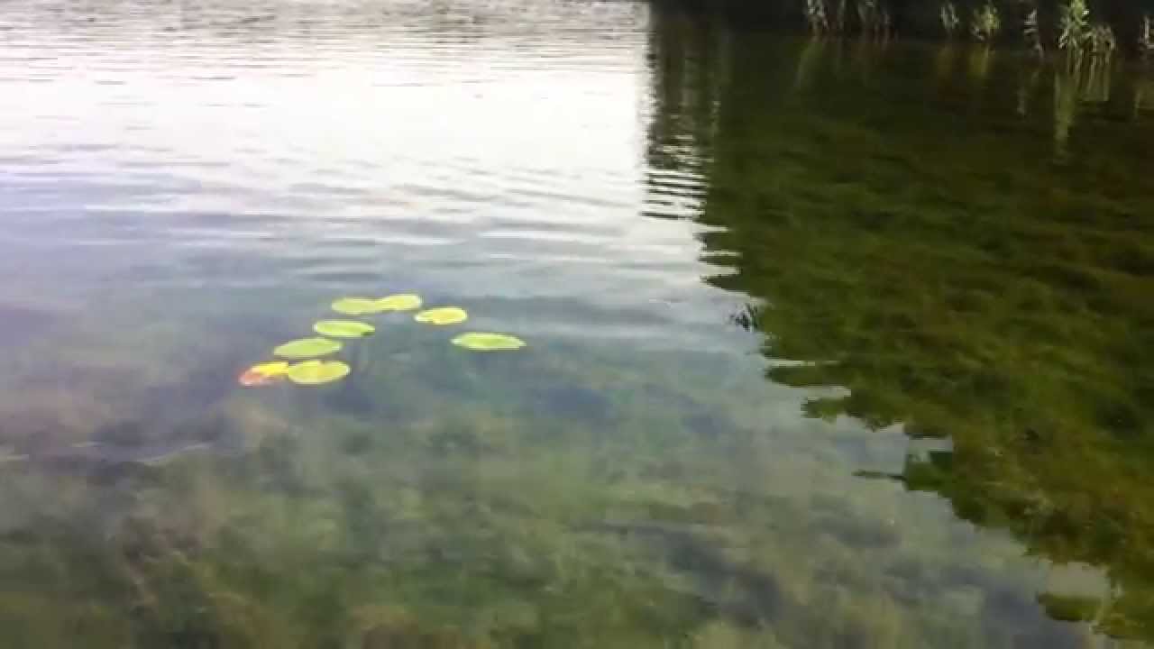 La Gatzo Custom Lures - Trap L 17cm